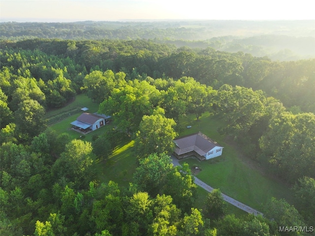 1205 Turkey Creek Rd, Luverne, AL 36049