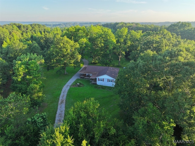 1205 Turkey Creek Rd, Luverne, AL 36049