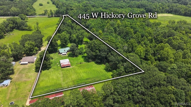 445 W Hickory Grove Rd, Lapine, AL 36046 - view of rural area featuring property boundaries highlighted