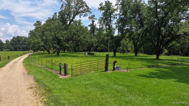 445 W Hickory Grove Rd, Lapine, AL 36046 - view of community featuring a rural view and a gate