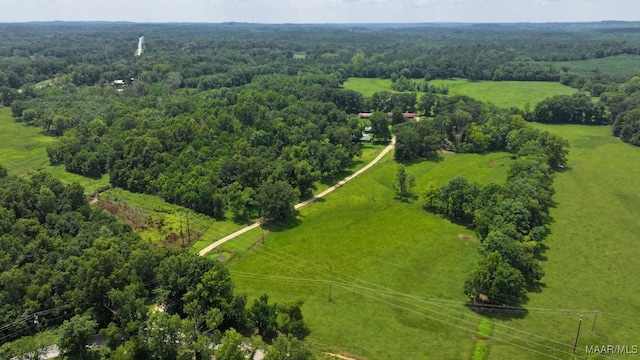 445 W Hickory Grove Rd, Lapine, AL 36046 - bird's eye view of a forest