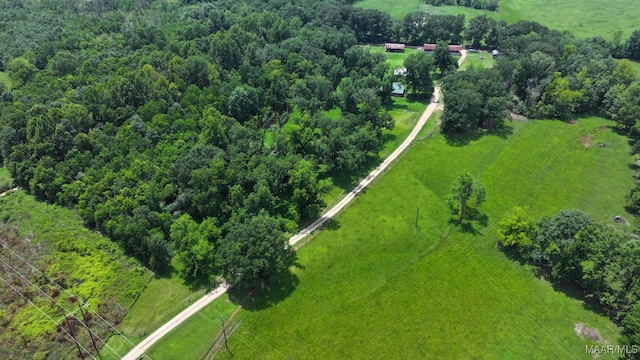 445 W Hickory Grove Rd, Lapine, AL 36046 - view of rural area