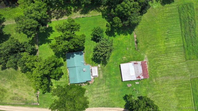 445 W Hickory Grove Rd, Lapine, AL 36046 - bird's eye view