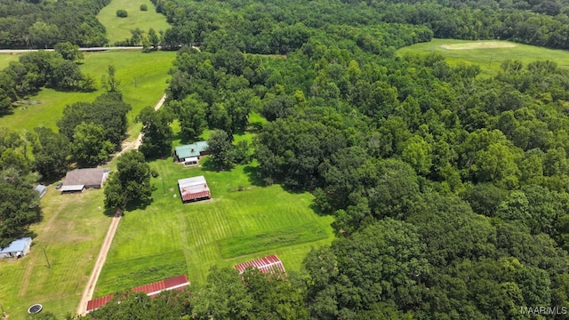 445 W Hickory Grove Rd, Lapine, AL 36046 - aerial view of sparsely populated area featuring a forest