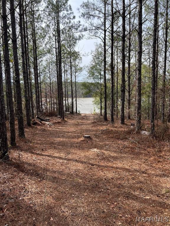 299 Merrill Ln, Deatsville, AL 36022 - photo 2