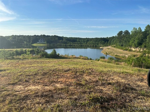 299 Merrill Ln, Deatsville, AL 36022 - photo 3