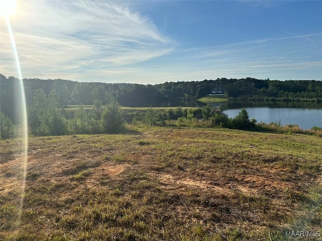 299 Merrill Ln, Deatsville, AL 36022 - photo 4