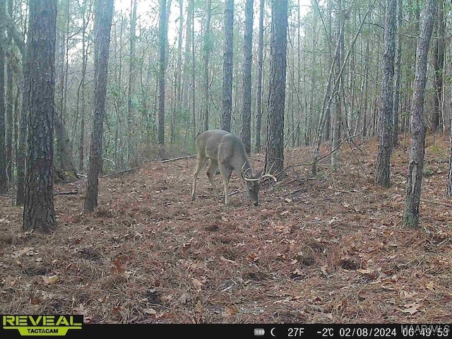 299 Merrill Ln, Deatsville, AL 36022 - photo 14
