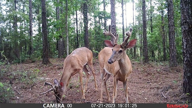299 Merrill Ln, Deatsville, AL 36022 - photo 18