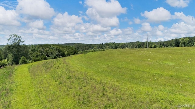 0 New Harmony Rd, Marbury, AL 36051