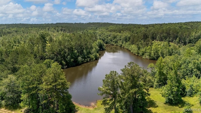 0 New Harmony Rd, Marbury, AL 36051