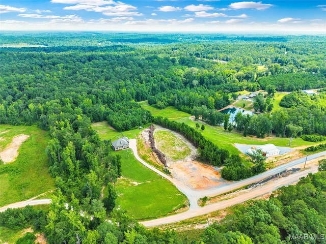 447 Galloway Dr, Wetumpka, AL 36093 - drone / aerial view of a forest