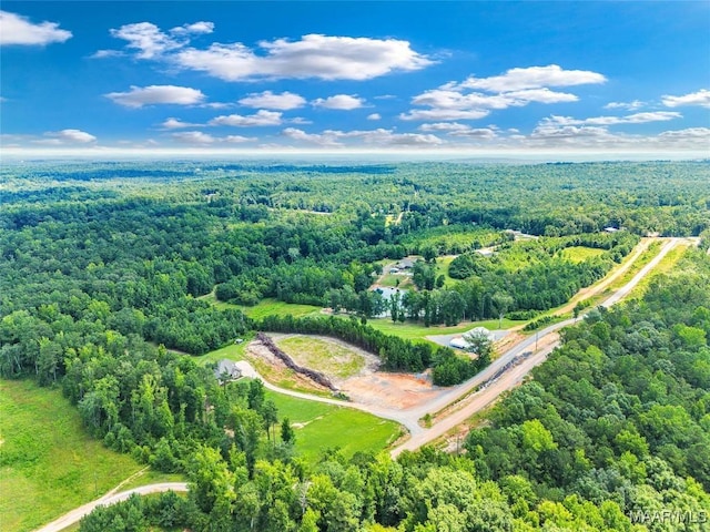 447 Galloway Dr, Wetumpka, AL 36093 - drone / aerial view of a forest