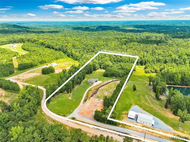 447 Galloway Dr, Wetumpka, AL 36093 - view of property location featuring a forest and property parcel outlined