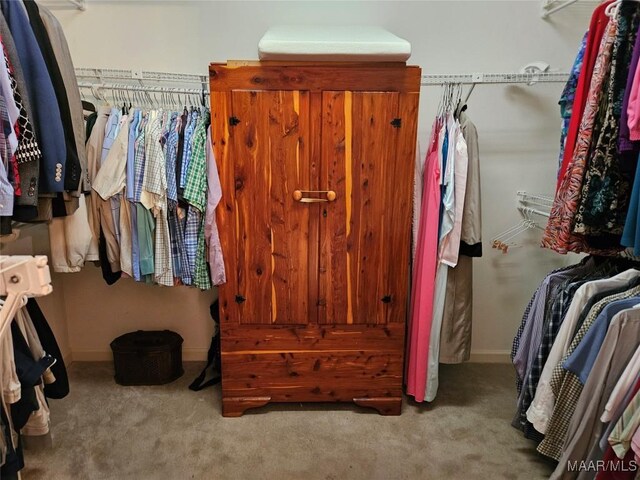 2714 Luverne Hwy, Greenville, AL 36037 - spacious closet featuring carpet floors