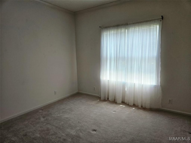 2714 Luverne Hwy, Greenville, AL 36037 - carpeted empty room featuring healthy amount of natural light and crown molding