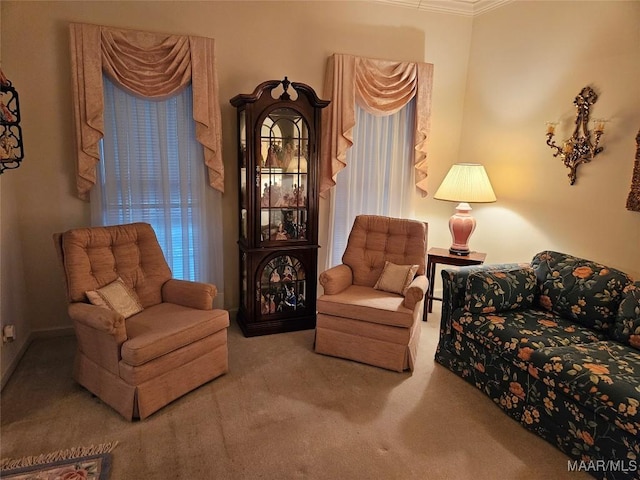 2714 Luverne Hwy, Greenville, AL 36037 - sitting room with carpet flooring and crown molding