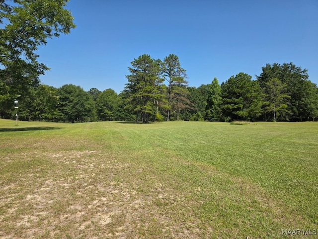 973 Pettus Rd, Lapine, AL 36046 - view of green lawn