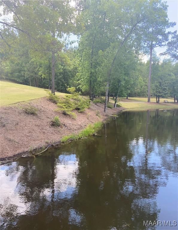 178 Natures Trl, Wetumpka, AL 36093 - water view