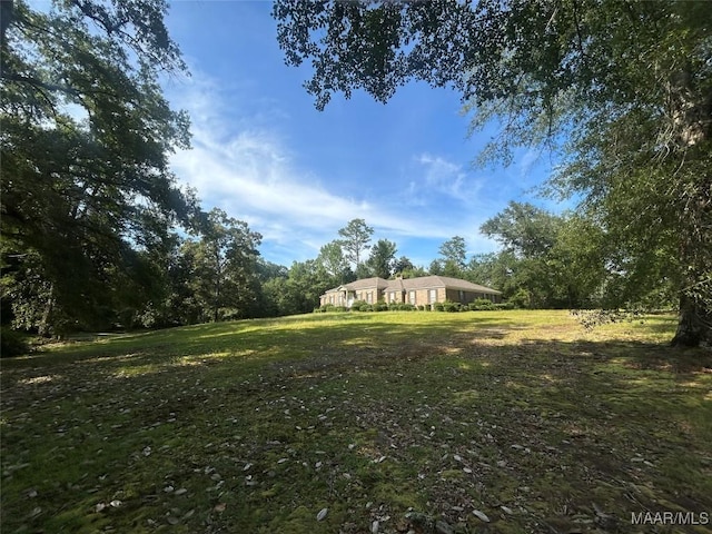 2 Rolling Hills Cir, Camden, AL 36726 - view of grassy yard
