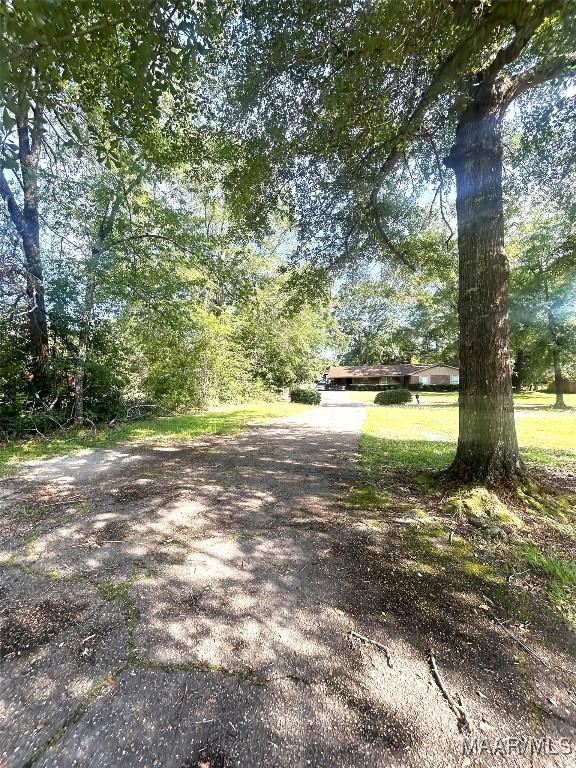 2 Rolling Hills Cir, Camden, AL 36726 - view of road
