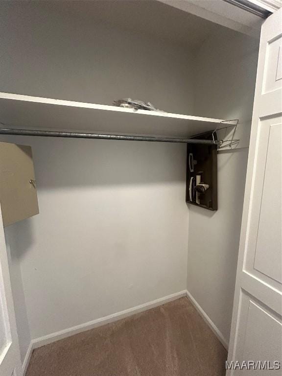 2 Rolling Hills Cir, Camden, AL 36726 - view of closet