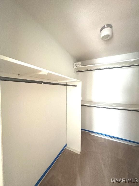 2 Rolling Hills Cir, Camden, AL 36726 - view of spacious closet