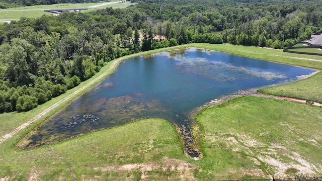 97 Abbington Blvd, Pike Road, AL 36064 - aerial view of property and surrounding area featuring a forest