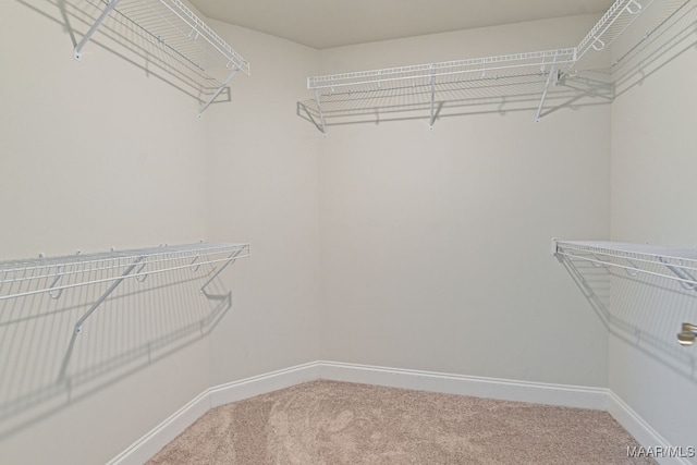 97 Abbington Blvd, Pike Road, AL 36064 - walk in closet featuring carpet floors
