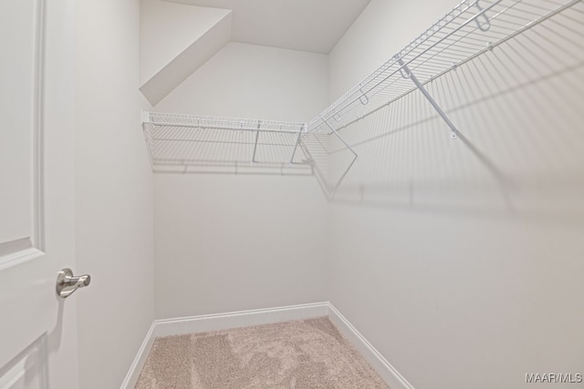97 Abbington Blvd, Pike Road, AL 36064 - walk in closet with carpet floors