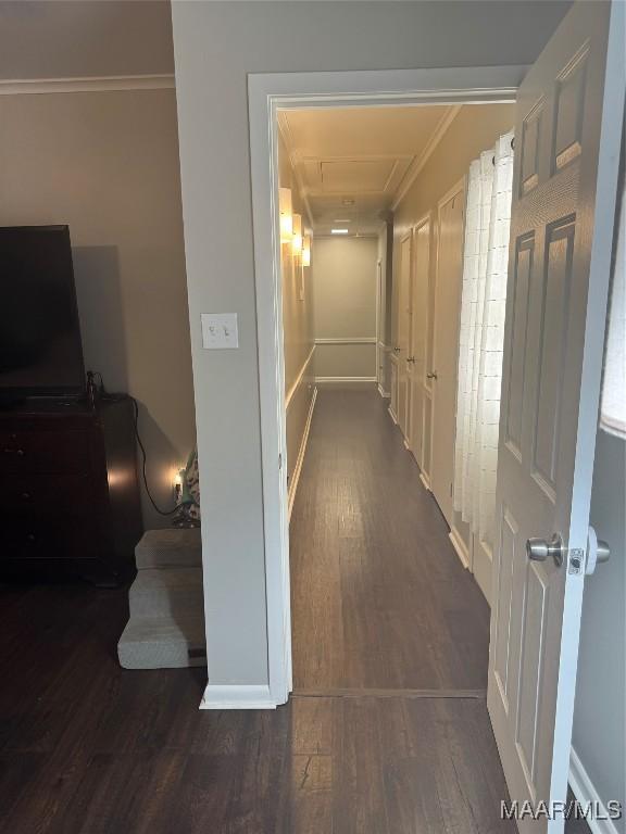 3549 Audubon Rd, Montgomery, AL 36111 - hall with dark wood finished floors and crown molding