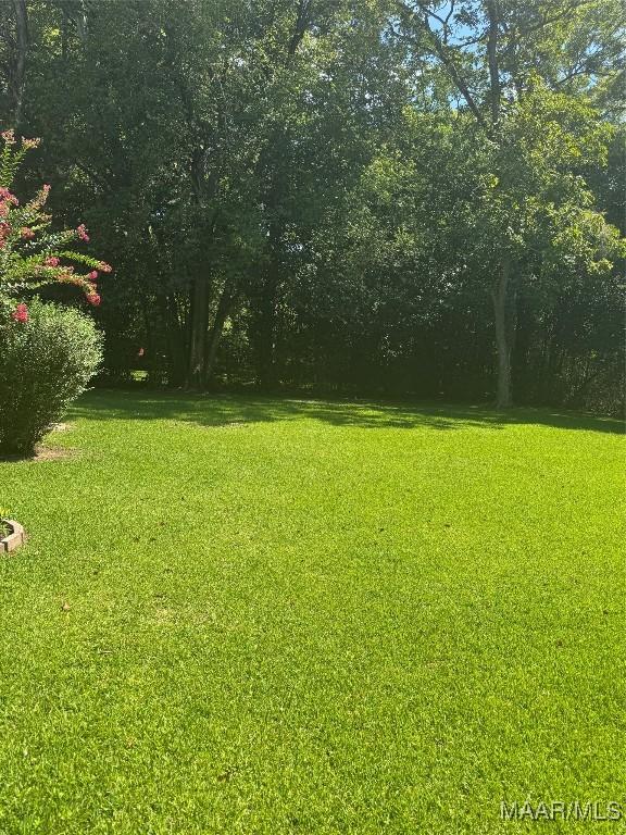 3549 Audubon Rd, Montgomery, AL 36111 - view of grassy yard