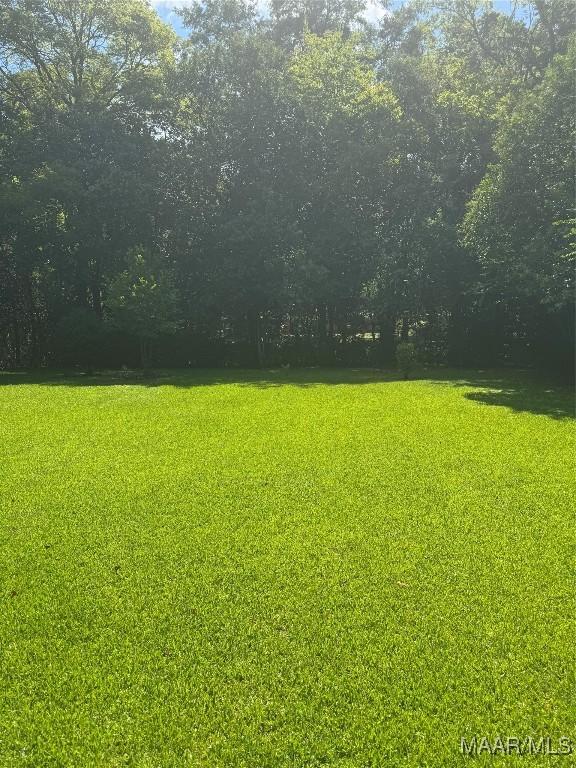 3549 Audubon Rd, Montgomery, AL 36111 - view of green lawn