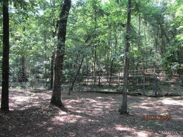 396 Spring Ln, Deatsville, AL 36022 - photo 12