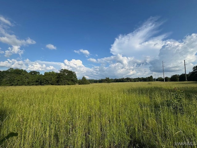 2 County Road 21st Rd, Prattville, AL 36067 - photo 1