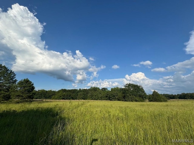 2 County Road 21st Rd, Prattville, AL 36067 - photo 3