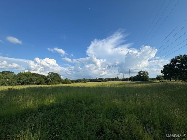 2 County Road 21st Rd, Prattville, AL 36067 - photo 4