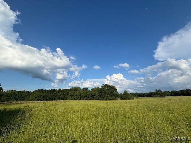 2 County Road 21st Rd, Prattville, AL 36067 - photo 5
