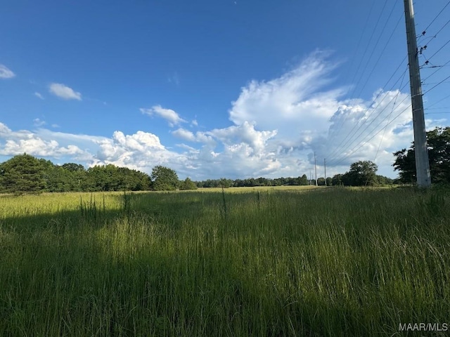 2 County Road 21st Rd, Prattville, AL 36067 - photo 6