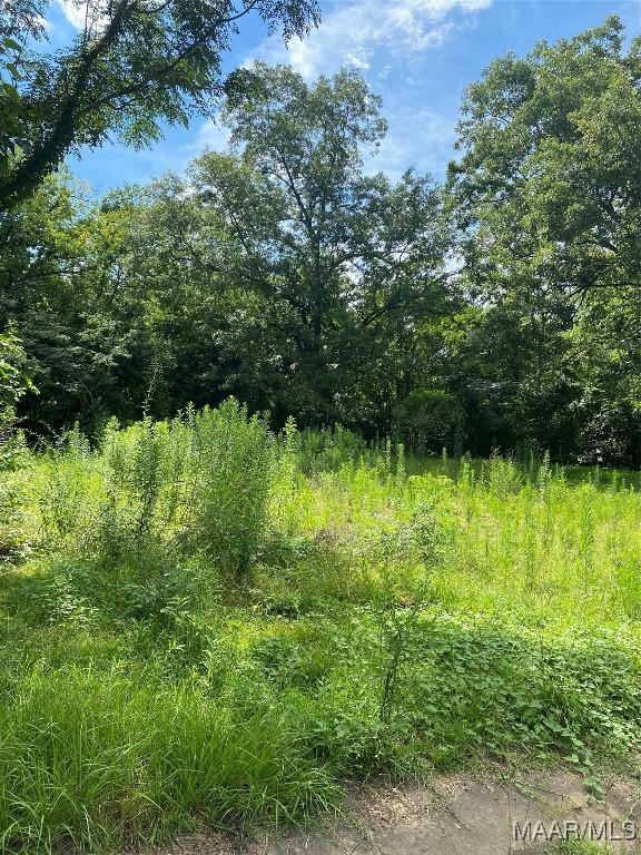 1526 Lawrence St, Selma, AL 36701