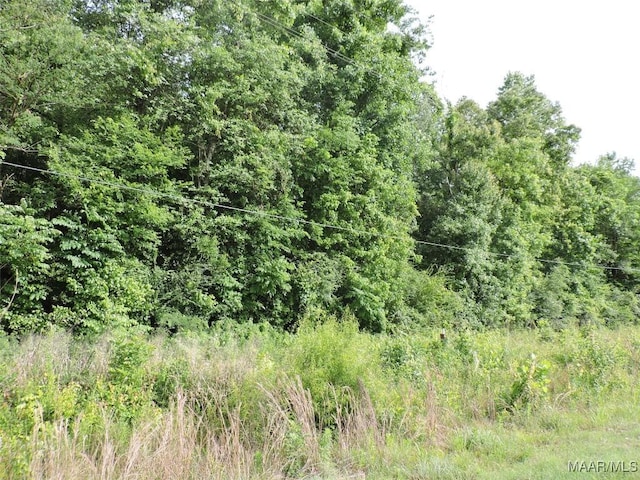 00 Mobile Rd, Greenville, AL 36037