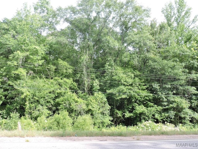 00 Mobile Rd, Greenville, AL 36037
