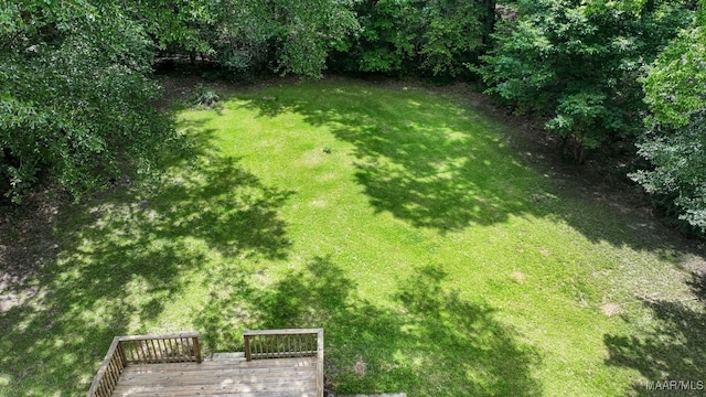 2014 Commodore St, Montgomery, AL 36106 - view of green lawn