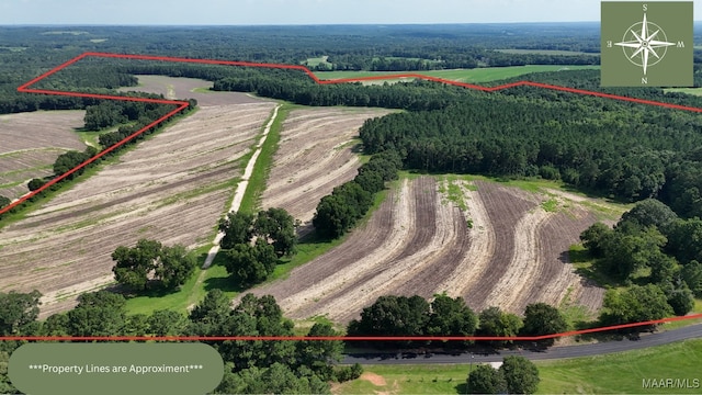 216 County Road 201st Rd, Ariton, AL 36010 - photo 1