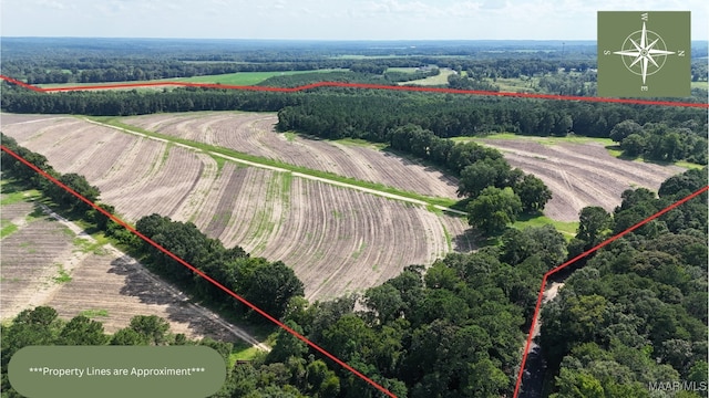 216 County Road 201st Rd, Ariton, AL 36010 - photo 2