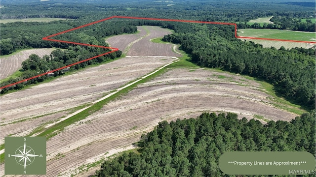 216 County Road 201st Rd, Ariton, AL 36010 - photo 3