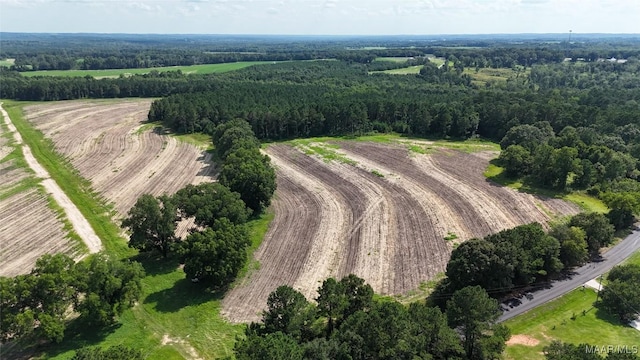 216 County Road 201st Rd, Ariton, AL 36010 - photo 4