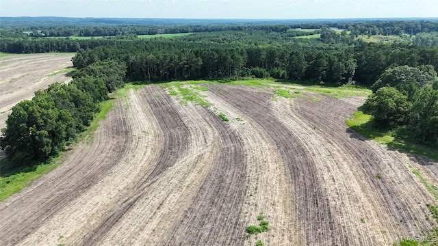 216 County Road 201st Rd, Ariton, AL 36010 - photo 5