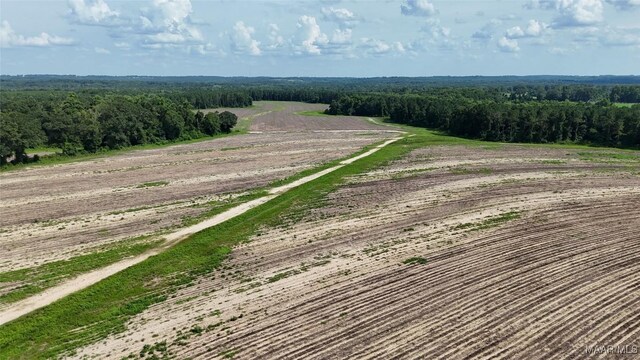 216 County Road 201st Rd, Ariton, AL 36010 - photo 6