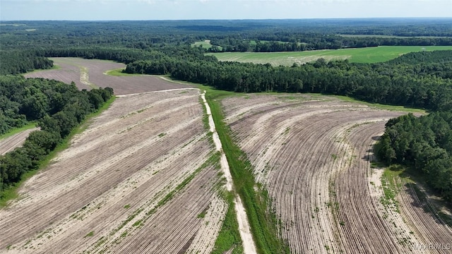216 County Road 201st Rd, Ariton, AL 36010 - photo 7